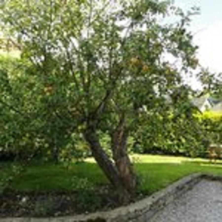 Cheshire House Guest House Hope Εξωτερικό φωτογραφία